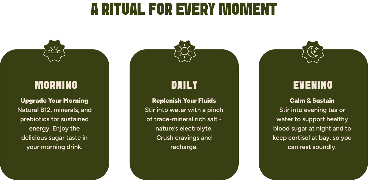 A Ritual For Every Moment - Morning, Daily, Evening